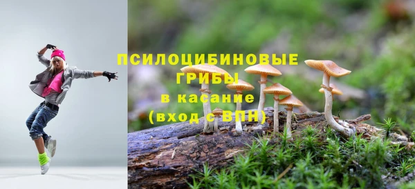 PSILOCYBIN Сосновоборск