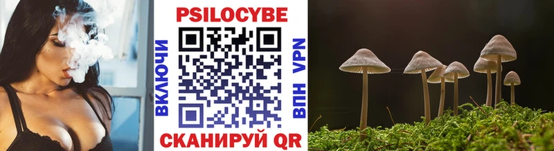 наркотики  Грайворон  Галлюциногенные грибы Psilocybe 
